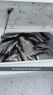 CjYKMlNuYXBjaGF0LzEzLjE5LjAuNDIgKGlQaG9uZTE0LDM7IGlPUyAxOC4xLjE7IGd6aXApIAI=