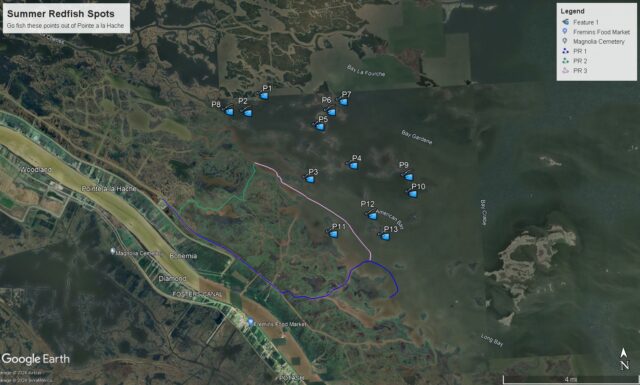 Summer Redfish Spots PLH