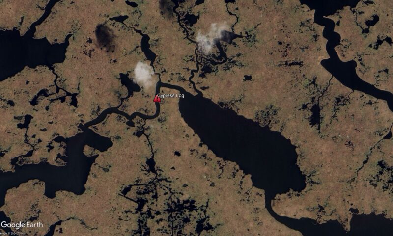 cypress log 2