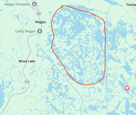 Screenshot 2025-06-15 at 1.03.16 PM