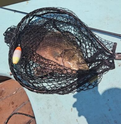 Screenshot_20250630_093207_Facebook