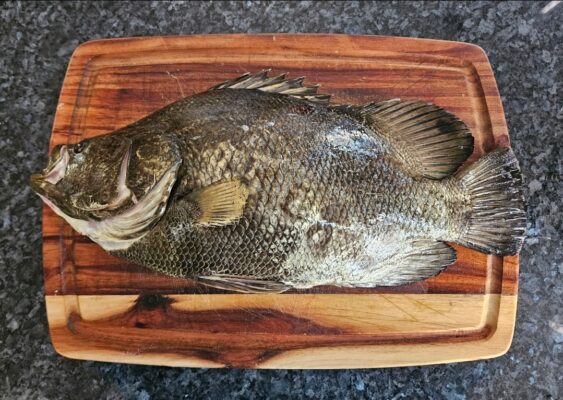 Screenshot_20250630_092657_Photos