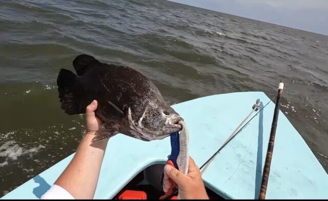 Screenshot_20250630_092626_Photos