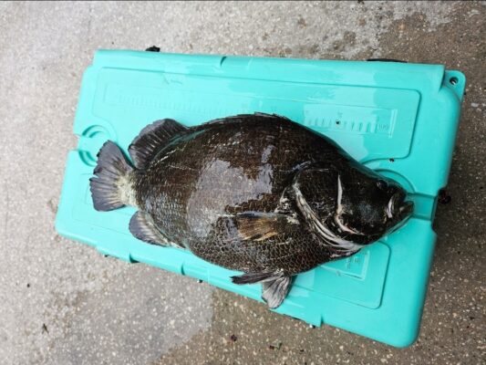 Screenshot_20250630_092717_Photos