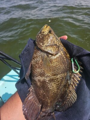 Screenshot_20250630_092708_Photos