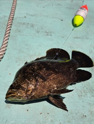 Screenshot_20250630_092533_Photos