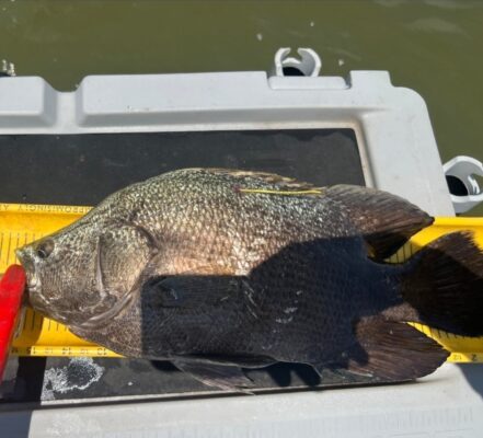 Screenshot_20250630_092612_Photos