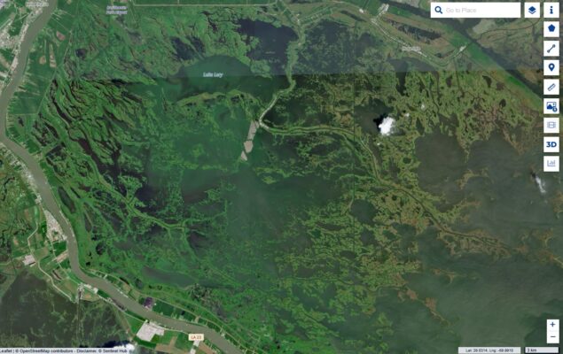 delacroix algae bloom