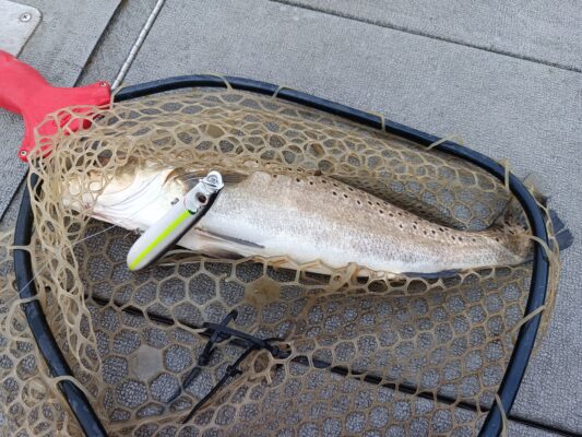 IMG_20250420_163937_504