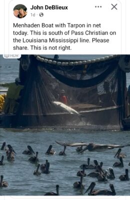 Screenshot_20250829_201430_Facebook