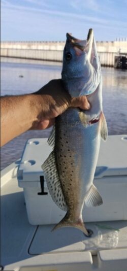 Screenshot_20250907_114429_YouCut - Video Editor