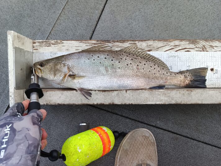 IMG_20250420_175926_945