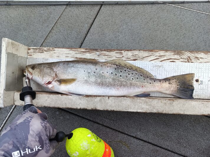 IMG_20250420_180811_251