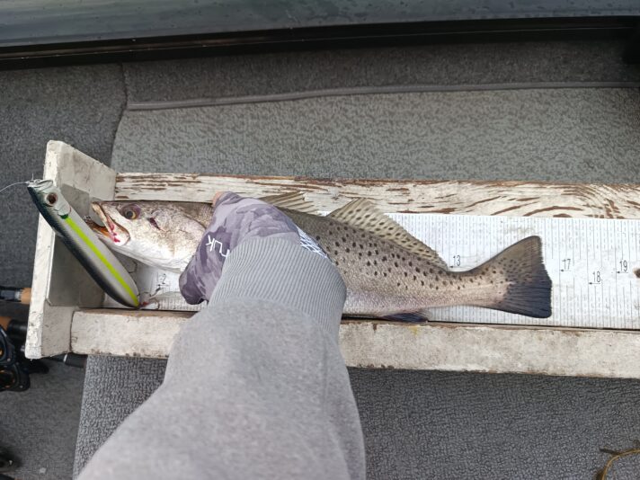 IMG_20250420_184024_489