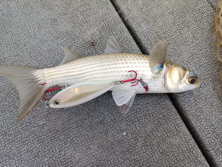 IMG_20250420_181607_852