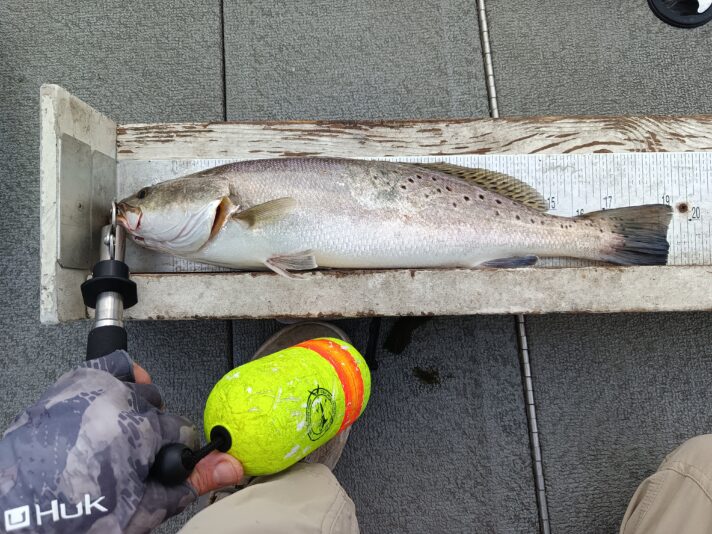 IMG_20250420_164923_616