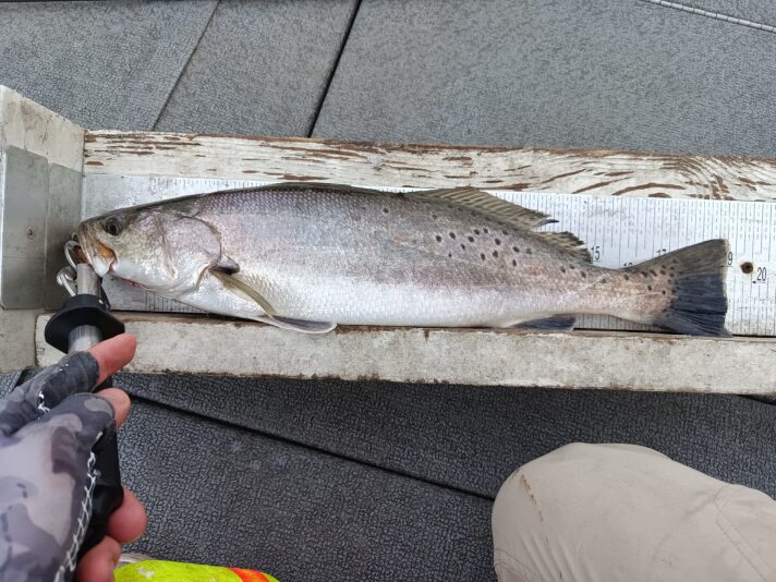 IMG_20250420_173847_843