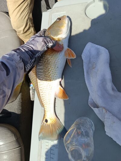 IMG_20250426_105809_653