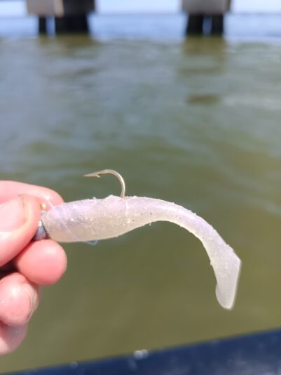 IMG_20250426_135224_057