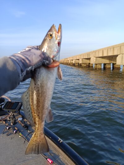 IMG_20250426_071612_827