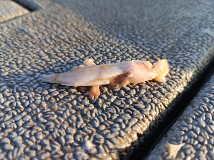 IMG_20250426_072149_846