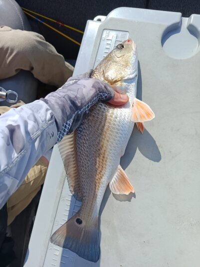 IMG_20250426_094133_421