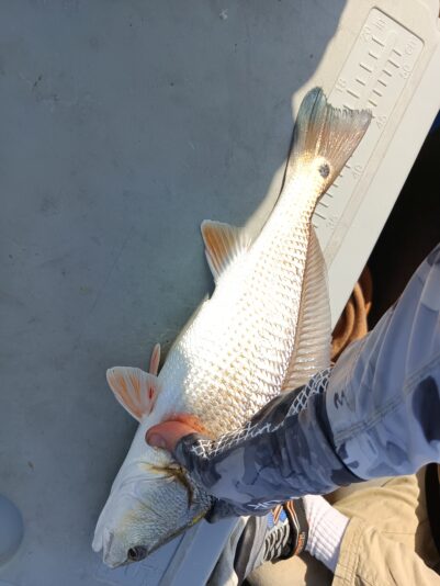 IMG_20250426_100128_598