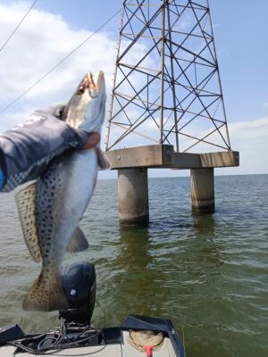 IMG_20250425_140916_197