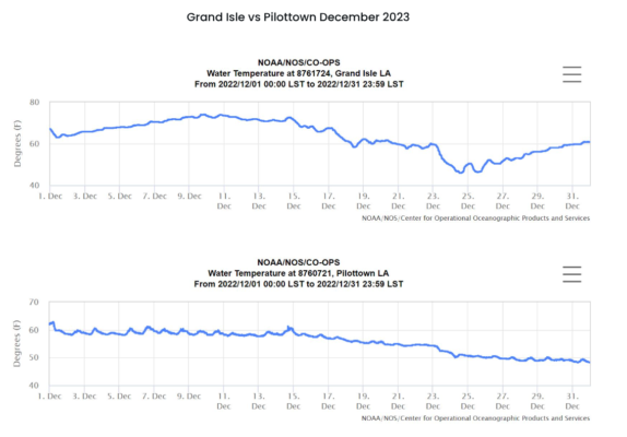 Screenshot_2026-02-19_20-06-20