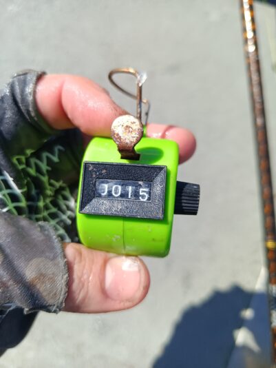 IMG_20260302_120829_888