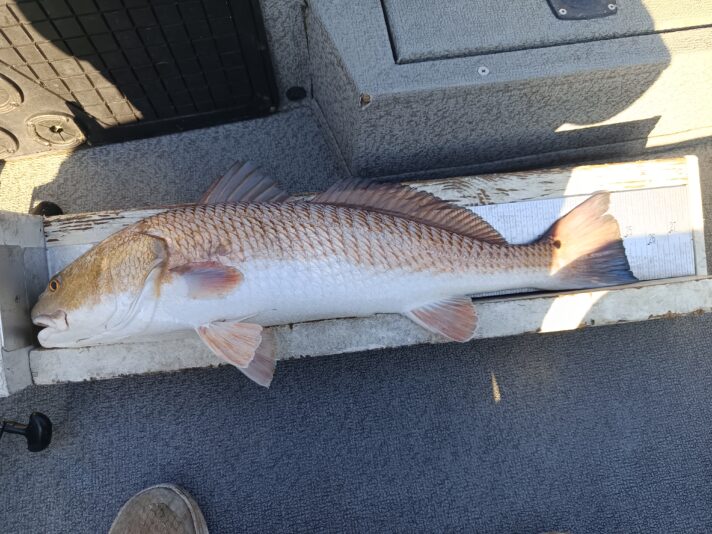 IMG_20260302_080821_827