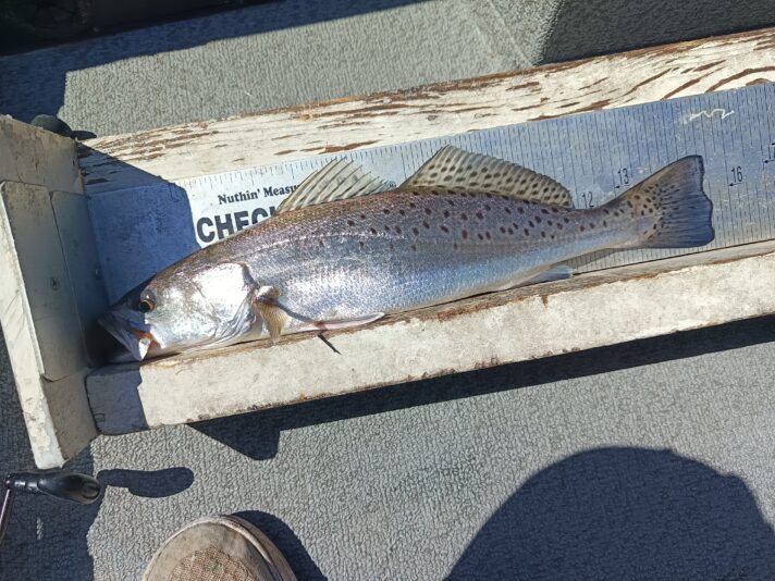 IMG_20260302_113912_591