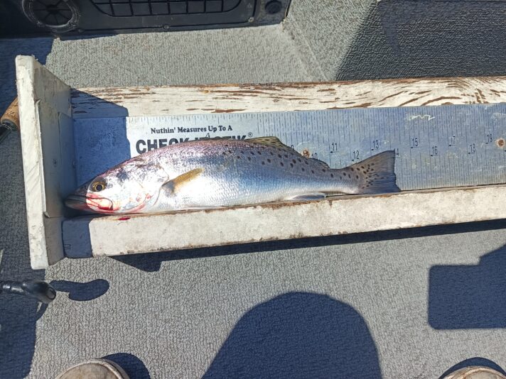 IMG_20260302_114135_740