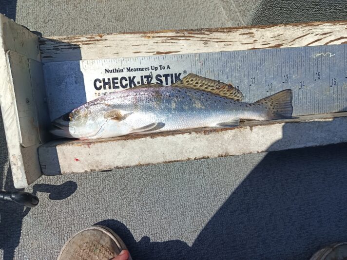 IMG_20260302_114308_824