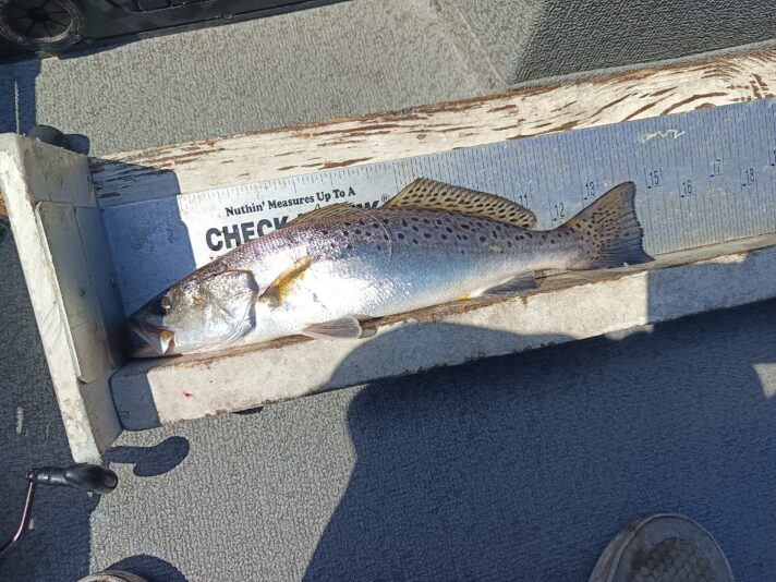 IMG_20260302_114426_667