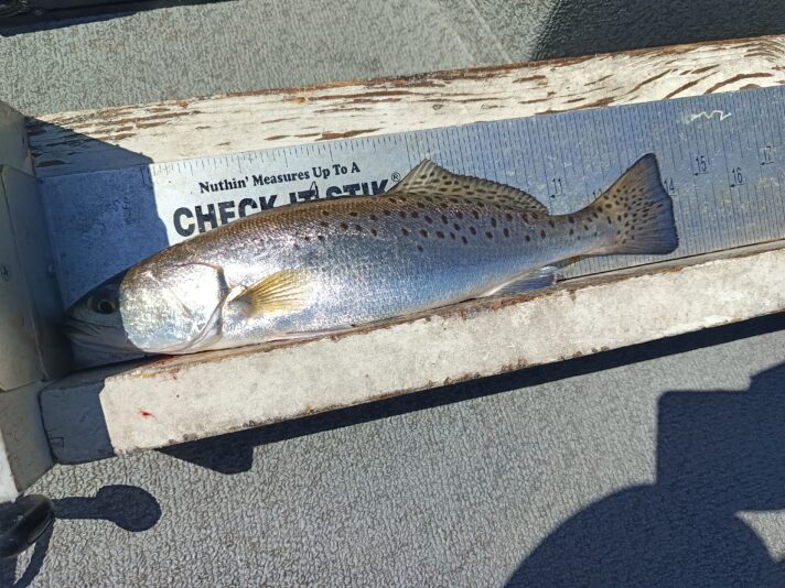 IMG_20260302_114555_618