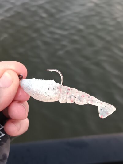 IMG_20260302_180351_192