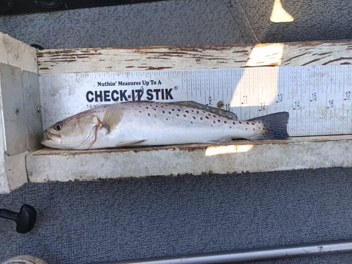 IMG_20260302_073300_240