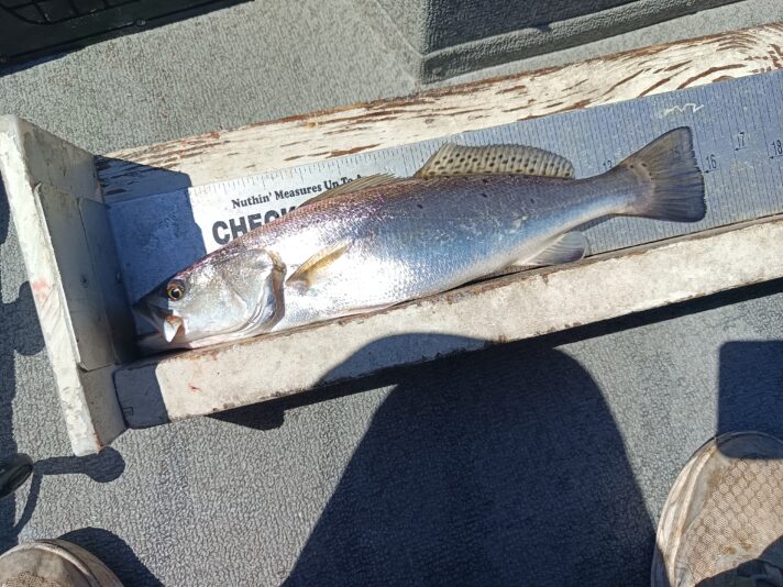 IMG_20260302_115612_738