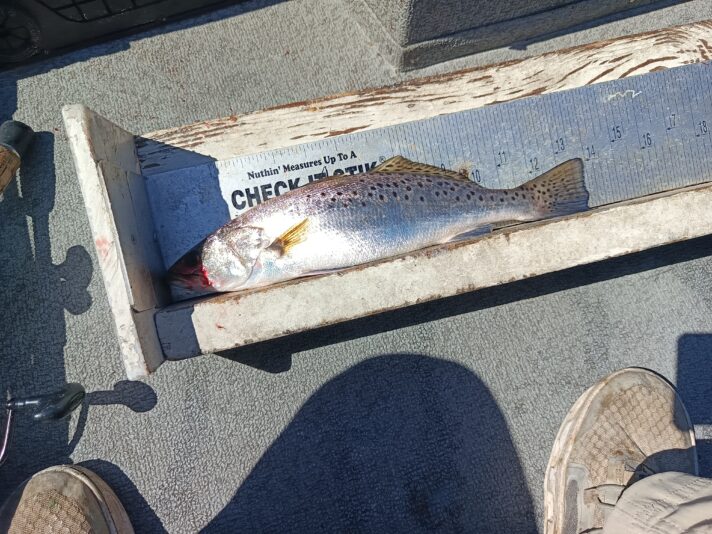 IMG_20260302_115818_532