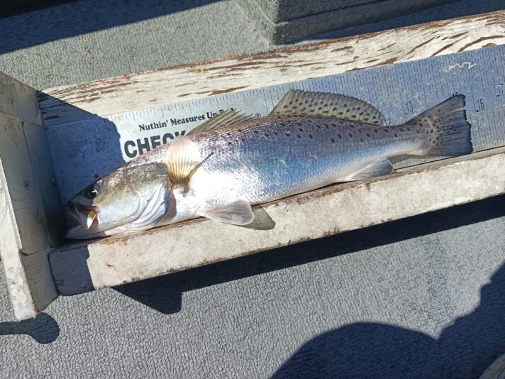 IMG_20260302_120113_666