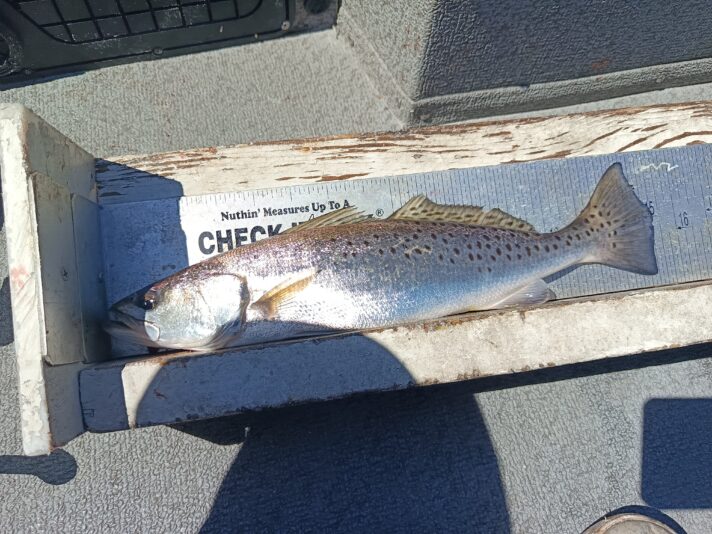 IMG_20260302_120303_646