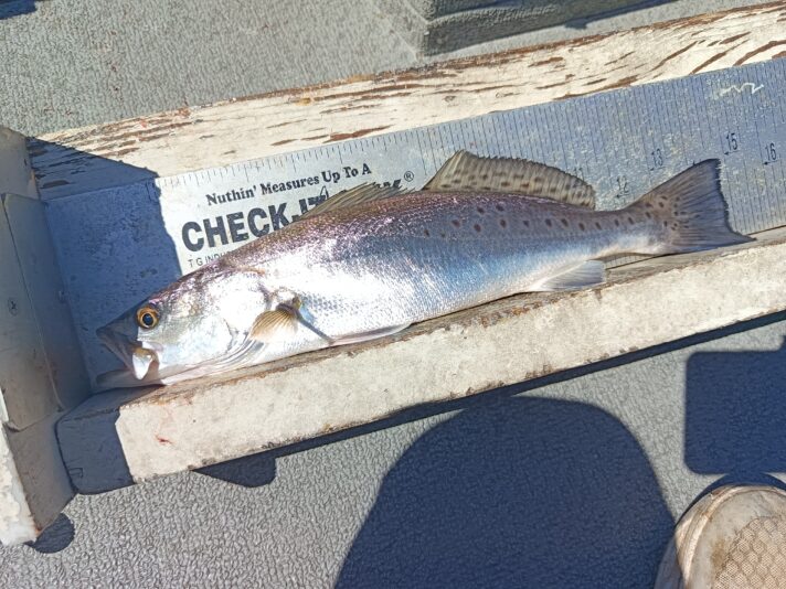 IMG_20260302_120603_489