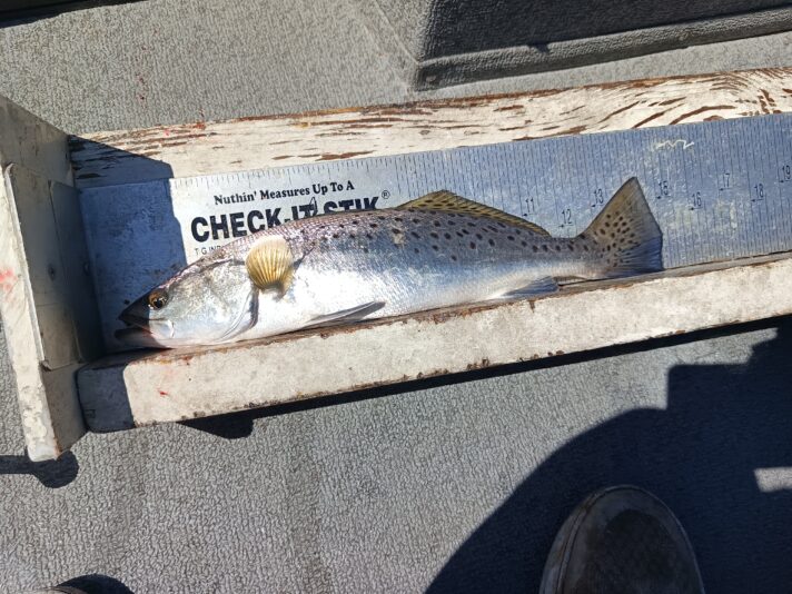 IMG_20260302_114949_424