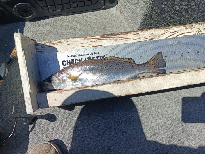 IMG_20260302_114738_128