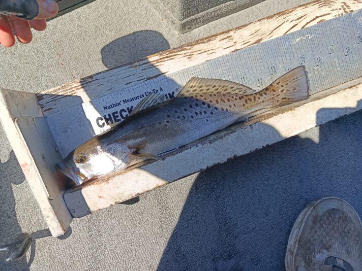 IMG_20260302_115248_472