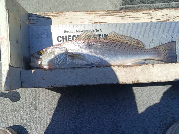 IMG_20260302_115424_867