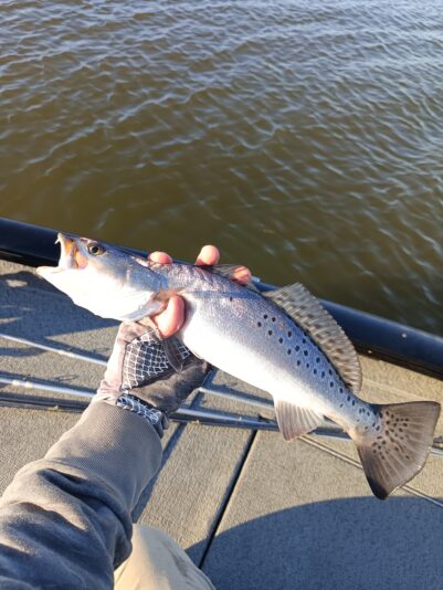 IMG_20260302_163844_248