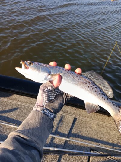 IMG_20260302_164751_984