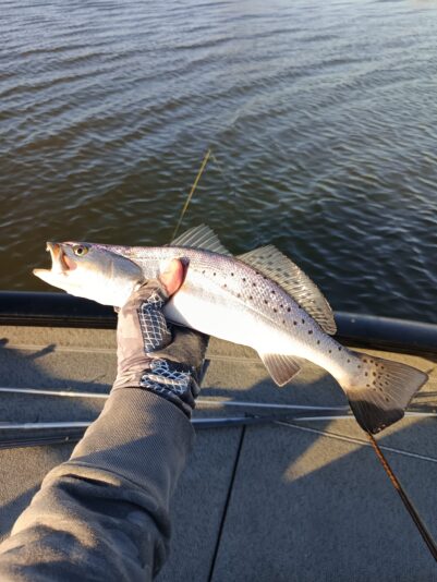 IMG_20260302_165254_042